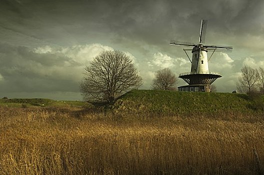风车,城墙,荷兰