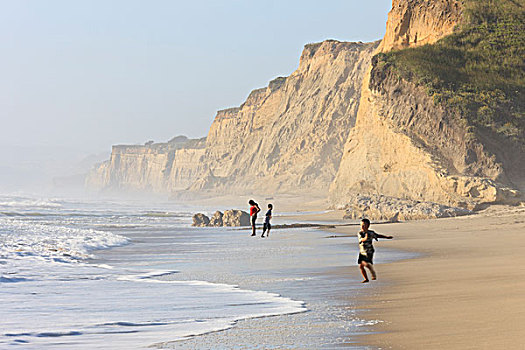 玩,海滩,海岸,加利福尼亚,美国,朦胧,白天