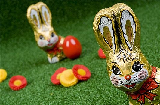 复活节兔子,巧克力,草地