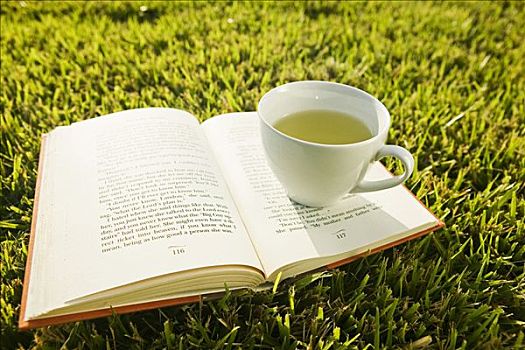 书本,茶杯,草地
