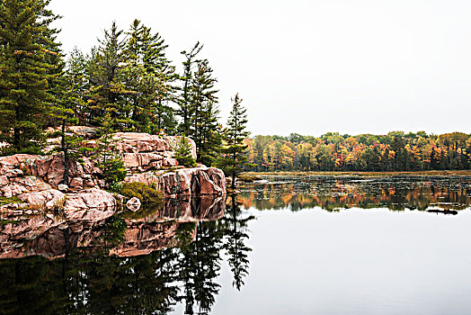 石头,湖,岸边,几个,绿色,彩色,树,秋天,安大略省,加拿大
