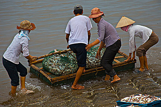 越南,国家公园,红河,三角洲,世界遗产,生物保护区