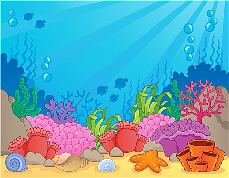 珊瑚礁,图像