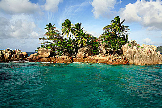 热带天堂,岛屿,印度洋,塞舌尔