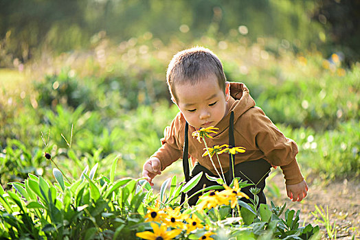 花丛中的小男孩
