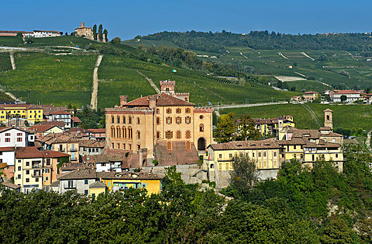 乡村,巴罗洛葡萄酒,城堡,意大利,欧洲