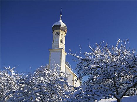 教堂,洋葱圆顶,挨着,巴伐利亚,德国