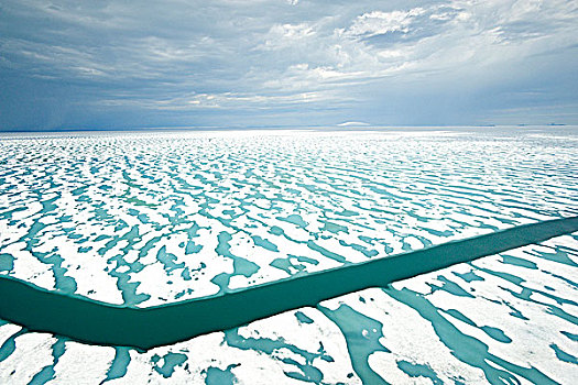 图案,融化,海冰,北冰洋