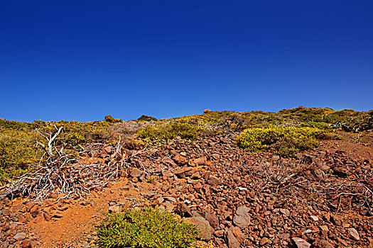 火山口,山,帕尔玛