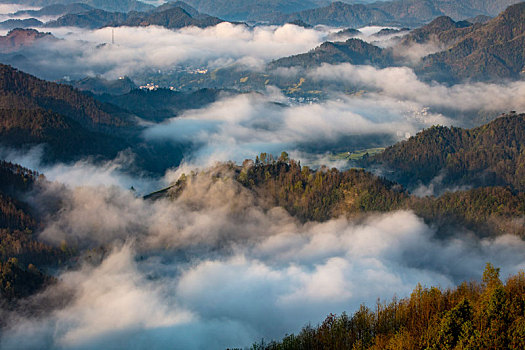 石潭,云海,安徽,山沟,油菜花,风光,壮观,气候,环境,仙境,诱惑,秀美,俯瞰,村庄