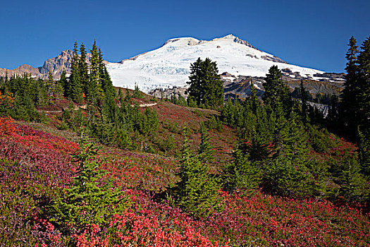 美国,华盛顿,贝克山,国家休闲度假区,公园,山岗,铁路,小路