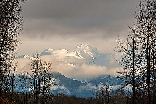 美国,阿拉斯加,河谷,雪山,戈登,画廊