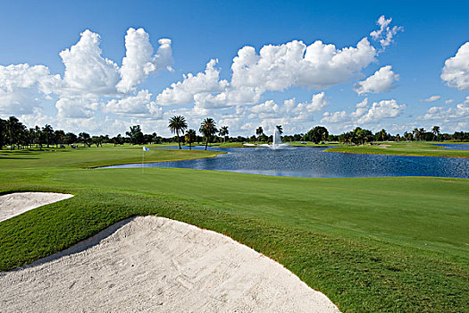 蓝色,怪兽,高尔夫球场,迈阿密,佛罗里达,美国