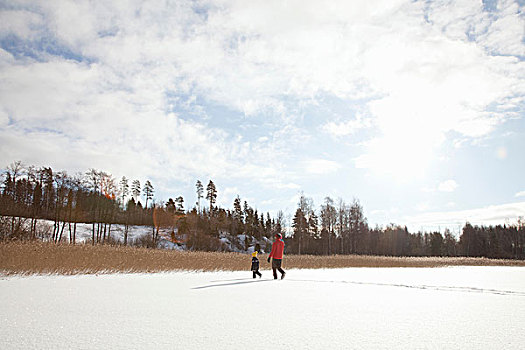 父亲,两个,儿子,走,积雪,风景