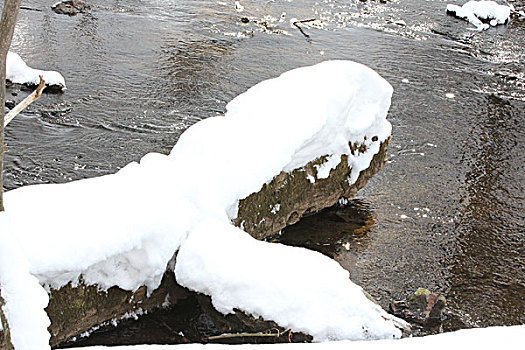 看雪