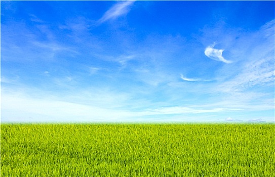 绿色,地点,蓝色,云,天空,漂亮,自然,背景