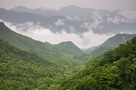 雾气弥漫的山谷