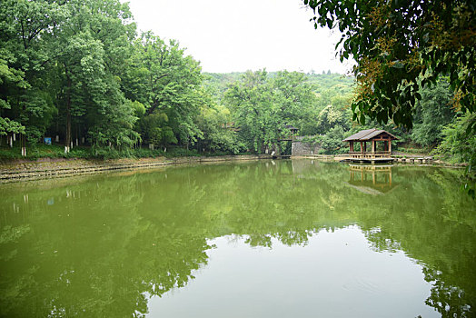中国江苏省无锡市宜兴市善卷洞风景区绿树绿水风景