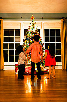 后视图,女孩,握手,正面,圣诞树