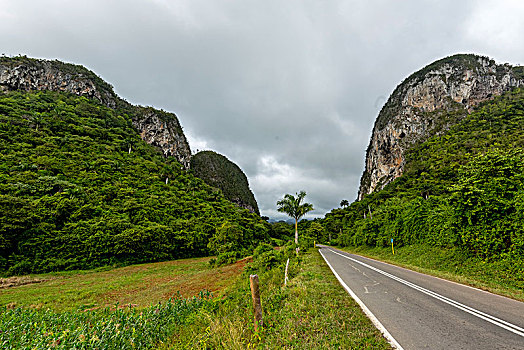 乡间小路,中线,细条,维尼亚雷斯,山谷,古巴,旅行,岛屿,大安的列斯群岛