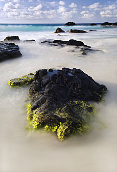 夏威夷,夏威夷大岛,科纳海岸,湾,海草,石头,慢速快门