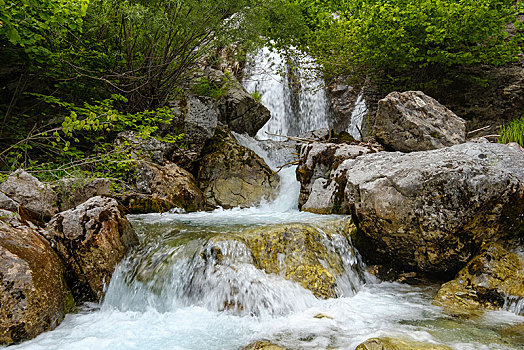 小,瀑布,河,国家公园,阿尔巴尼亚,阿尔卑斯山,欧洲