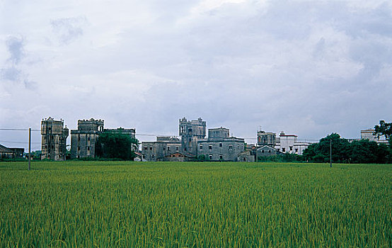 广东省开平市塘口墟附近的碉楼群
