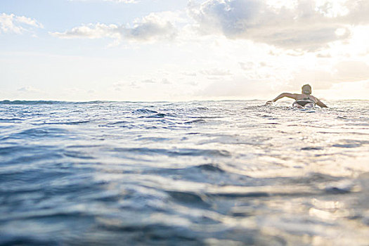 后视图,女人,涉水,冲浪板,海洋,省,哥斯达黎加