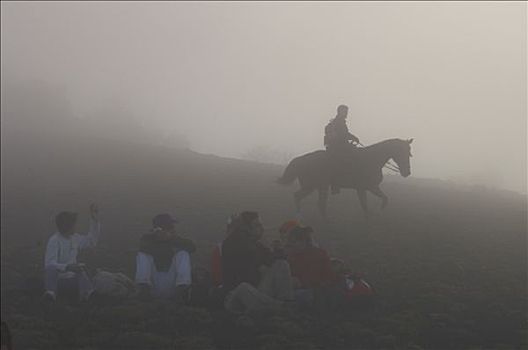 西班牙,加纳利群岛,国王,七月,2005年,朝圣,骑手,薄雾