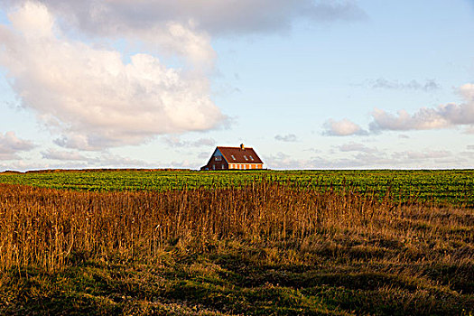 农舍,日德兰半岛,丹麦