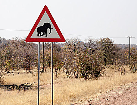 非洲,纳米比亚,达马拉兰,标识,警告,大象,画廊