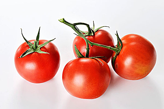四个,藤,成熟,西红柿,白色背景