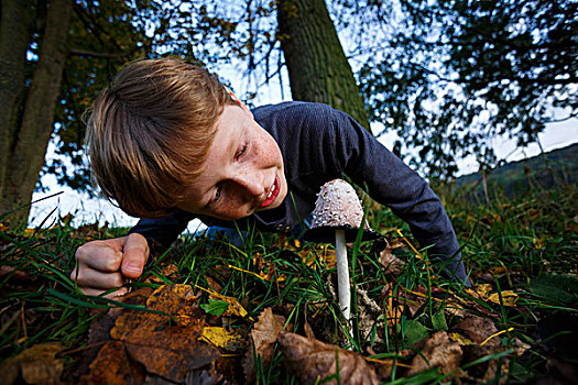 男孩,看,蘑菇,鸡腿菇,图林根州,德国,欧洲