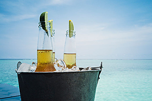 酸橙片,啤酒瓶,冰,平和,海滩,马尔代夫,印度洋