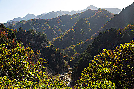 秦岭山