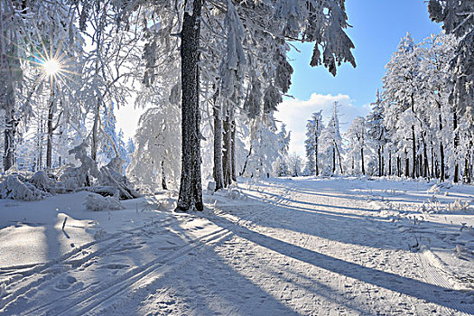 雪,遮盖,小路,格罗塞尔,图林根州,德国