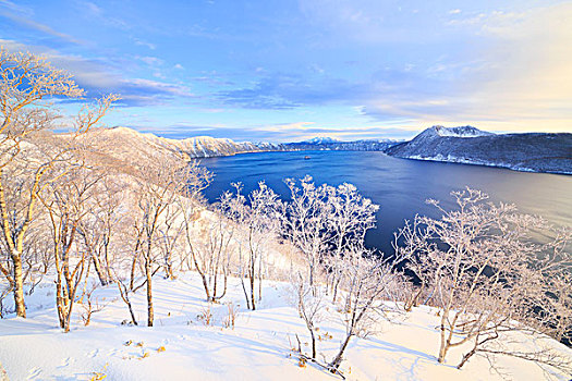 湖,雪,早晨,亮光,北海道