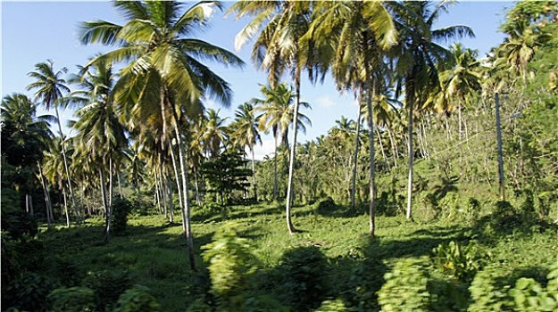 多米尼加,风景