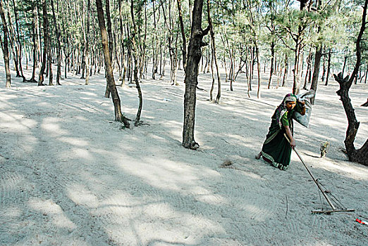 女性,难民,木头,树,海洋,海滩,四月,2007年,市场,孟加拉