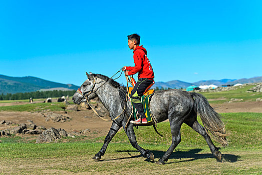 男孩,马,草原,山谷,国家公园,前杭爱省,蒙古,亚洲