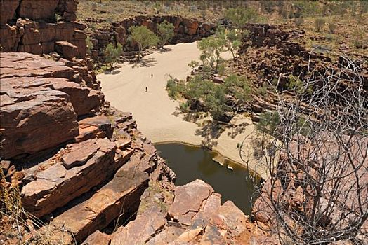 溪流,峡谷,自然公园,北领地州,澳大利亚
