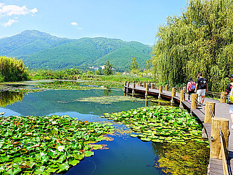 邛海湿地公园