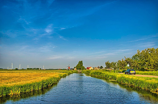 荷兰,风景,运河,草地