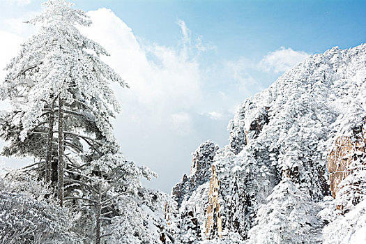 雪景,黄山