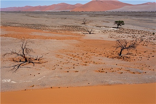 沙丘,索苏维来地区,纳米比亚,风景,上面