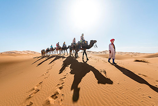 驼队,单峰骆驼,影子,沙滩,沙丘,沙漠,却比沙丘,梅如卡,撒哈拉沙漠,摩洛哥,非洲
