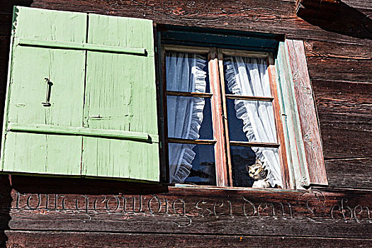 猫,雕塑,窗户,百叶窗,老,乡村,木质,建筑,瑞士
