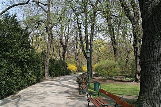 市立公园,孤单,小路,维也纳,奥地利
