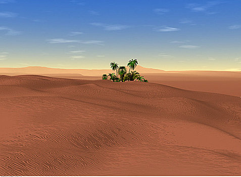 沙漠,绿洲