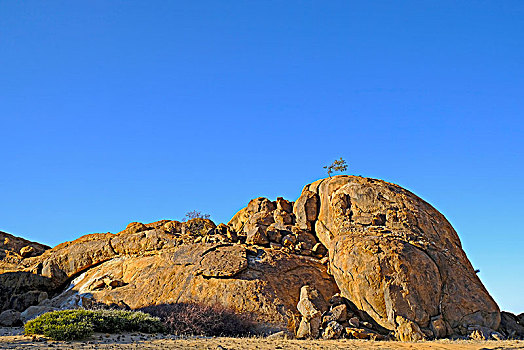 大,侵蚀,独块巨石,石头,山,树,上面,区域,纳米比亚,达马拉兰